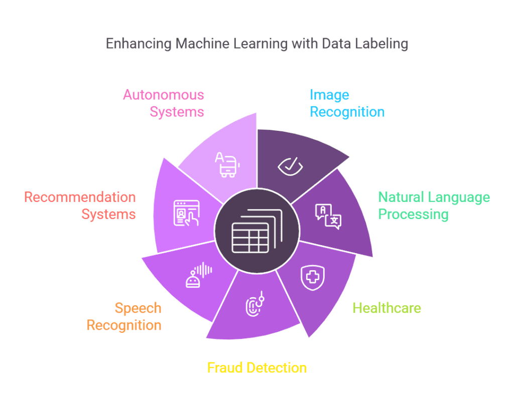 Applications of Data Labeling