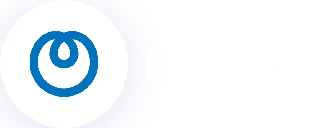 NTT Data 1 NTT Data logo compressed